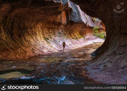 Narrows in Zion National Park, Utah