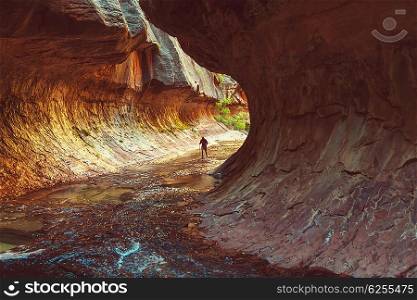 Narrows in Zion National Park, Utah