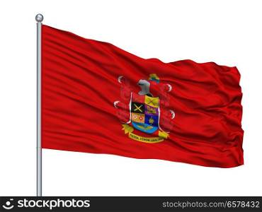 National Army Of Colombia Flag On Flagpole, Isolated On White Background. National Army Of Colombia Flag On Flagpole, Isolated On White