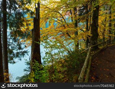 National Nature Park Synevyr autumn landscape. Is largest lake in the Carpathian Mountains of Ukraine (Mizhhiria, Zakarpattia Oblast).