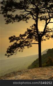 National Park forest at Sunrise in Province of Thailand, asia