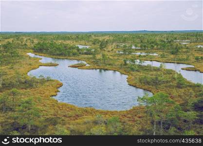 National swamp park in Latvia, Kemeri. 2015