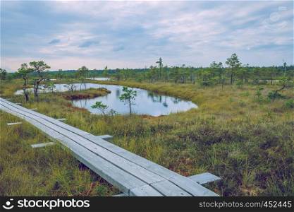 National swamp park in Latvia, Kemeri. 2015