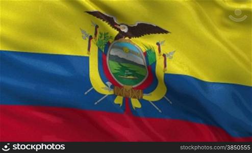 Nationalflagge von Ecuador als Endlosschleife