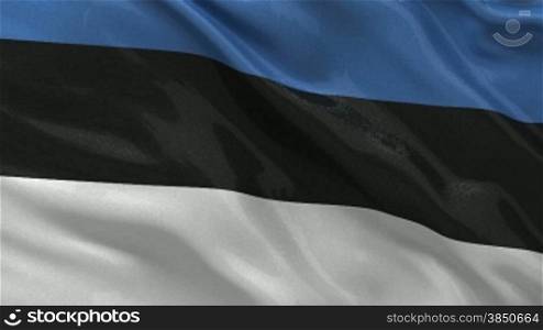 Nationalflagge von Estland als Endlosschleife