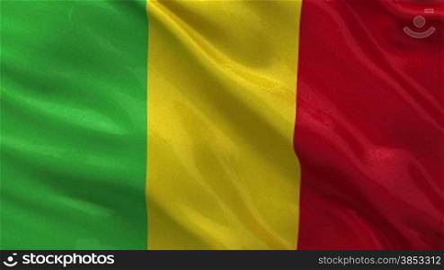 Nationalflagge von Mali als Endlosschleife