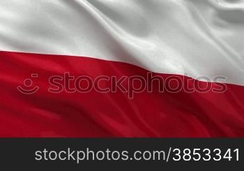 Nationalflagge von Polen im Wind. Endlosschleife.