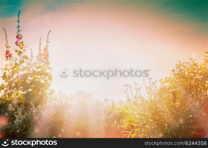 Natur background with Flowers garden and summer sun rays.