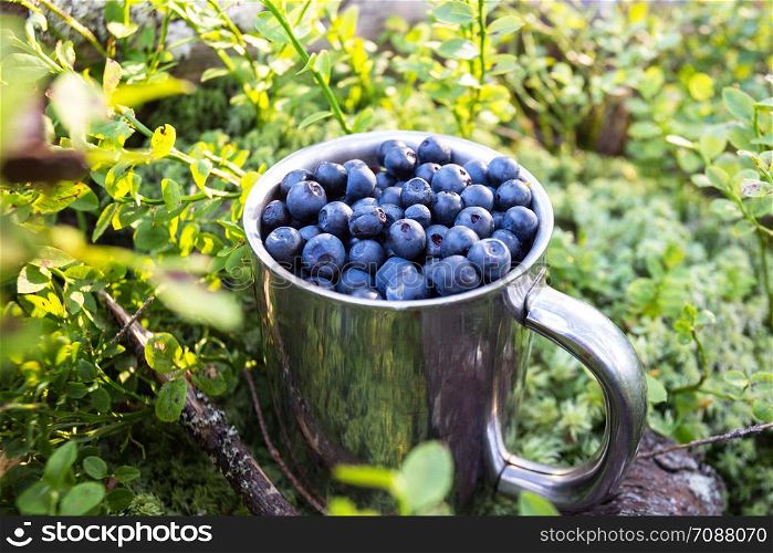 natural antioxidant cup of blueberries. forest