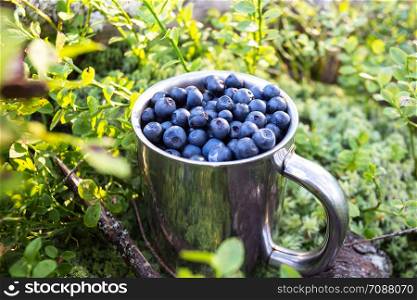 natural antioxidant cup of blueberries. forest