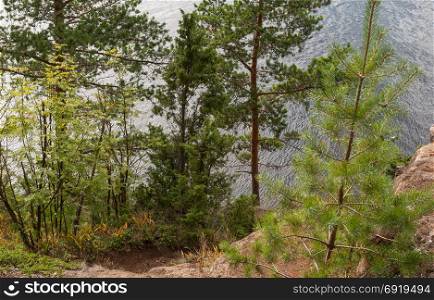 Natural areas of Russia. A lake with pine trees on the shore. The view from the top