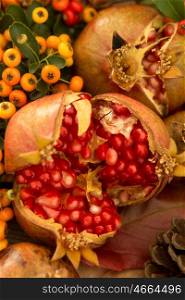 Natural autumn elements for decoration. Pomegranate and yellow berries