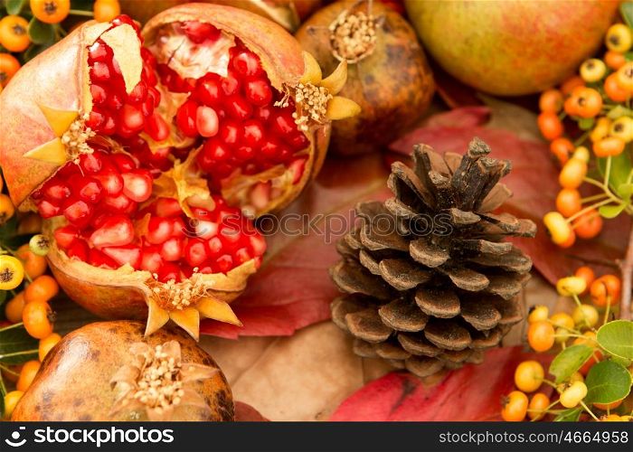 Natural autumn elements for decoration. Pomegranate and yellow berries