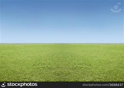 Natural background: an endless green fields and clear skies