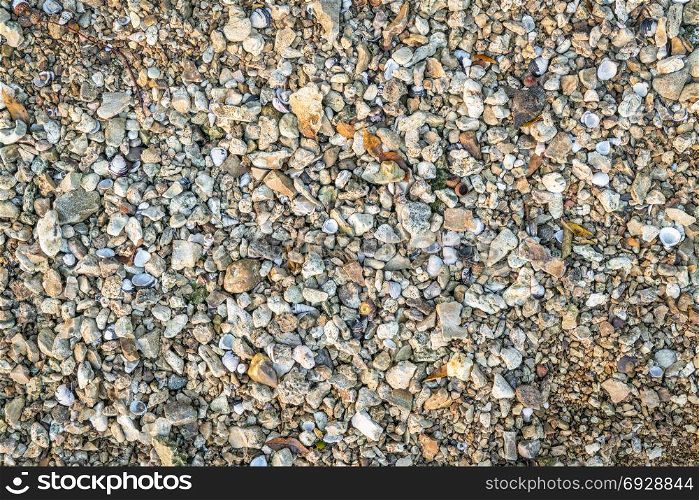 natural background and texture of a river shore: gravel, rocks and shells
