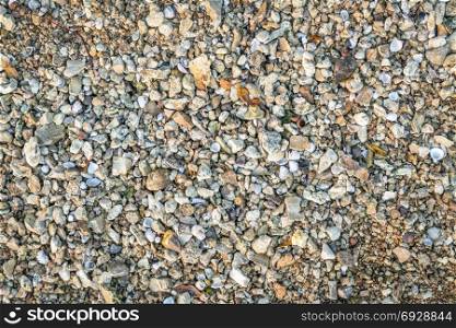 natural background and texture of a river shore: gravel, rocks and shells