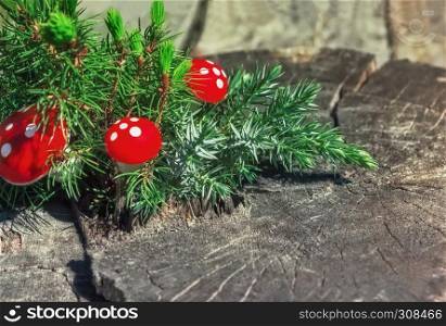 Natural background - juniper branch and decorative red fly agarics on an old wood stump closeup. Selective focus, space for copy.. Juniper Branch And Red Mushrooms On The Old Wooden Background