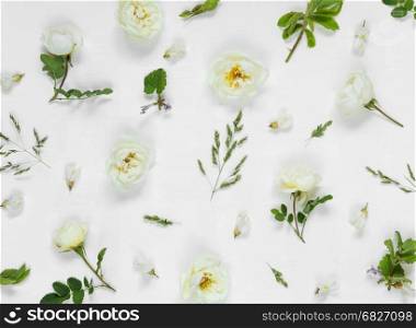 Natural background: light green leaves and white wild rose flowers on white background; top view; flat lay