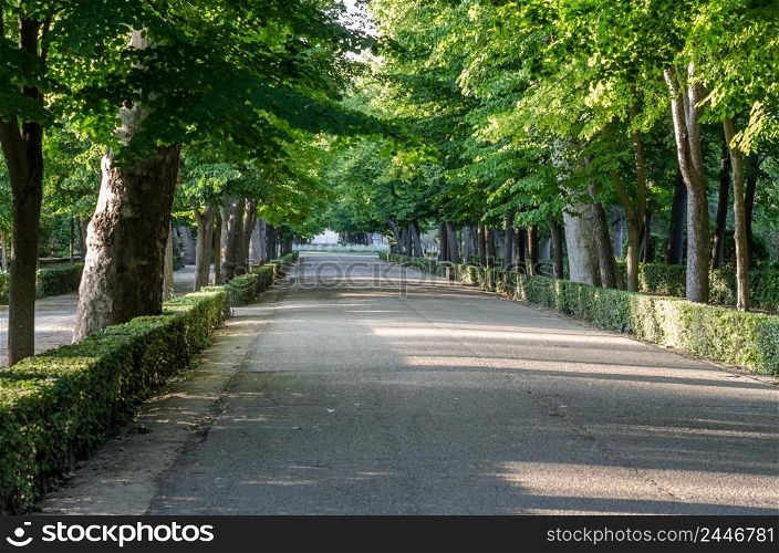 Natural background, pathway in a park in springtime