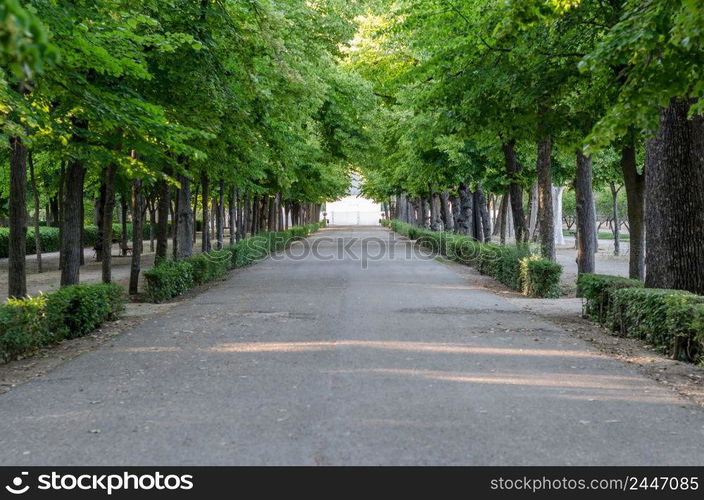 Natural background, pathway in a park in springtime