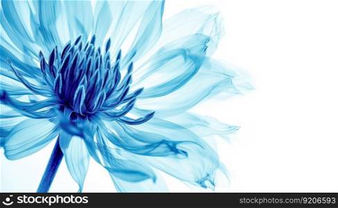Natural Background with X-Ray Flower, Generative AI. X-Ray Flower Background