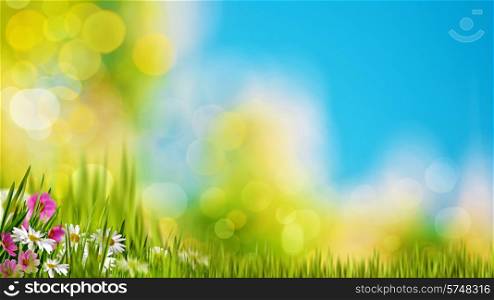 Natural backgrounds with green foliage under bright summer sun