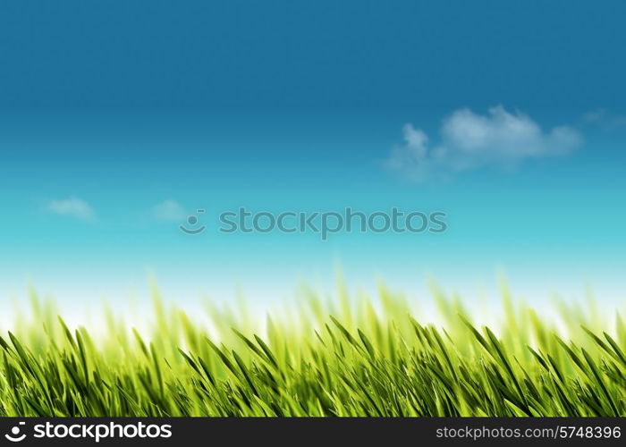 Natural backgrounds with green foliage under bright summer sun