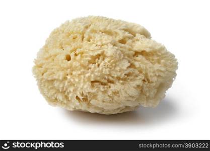 Natural bath sponge for cosmetic use on white background