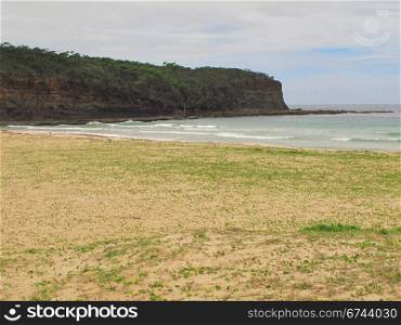 natural beach in australia. natural beach in australia with vegetation on the sand and trees in the background