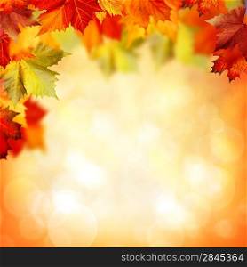 Natural beauty. Autumnal abstract backgrounds for your design