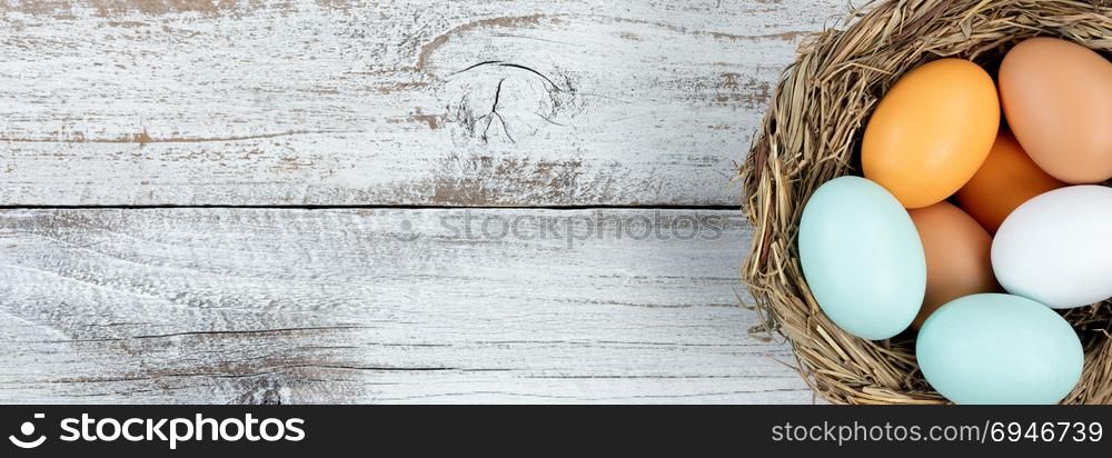 Natural bird nest filled with real colorful eggs forming right border on rustic white wood for Easter concept