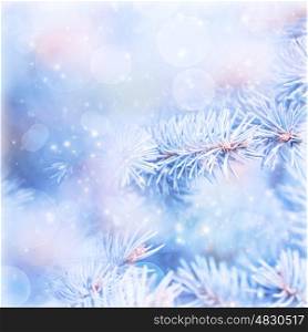 Natural blue wintertime background, fir tree branch covered with hoar, bokeh light, shallow depth of field, weather of december, New Year holidays