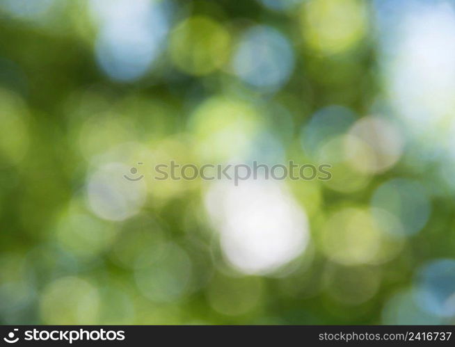 Natural blurred background.