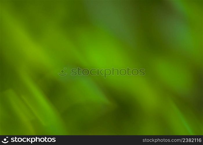 Natural bokeh blurred green plants landscape as background. Defocus blurred greenery abstract leaf wallpaper.. Bright summer defocused bokeh effect garden with sunlight. Green bokeh under sunlight.