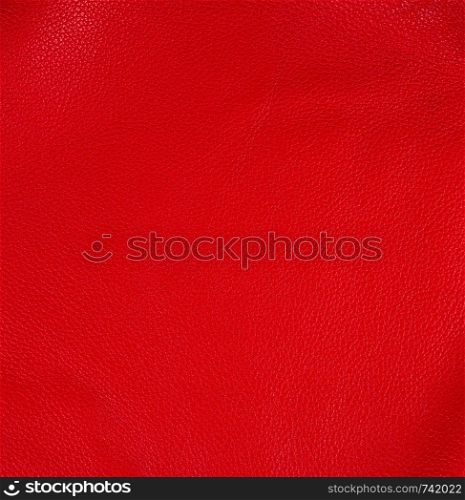 natural bright red cowhide texture, full frame, scarlet color