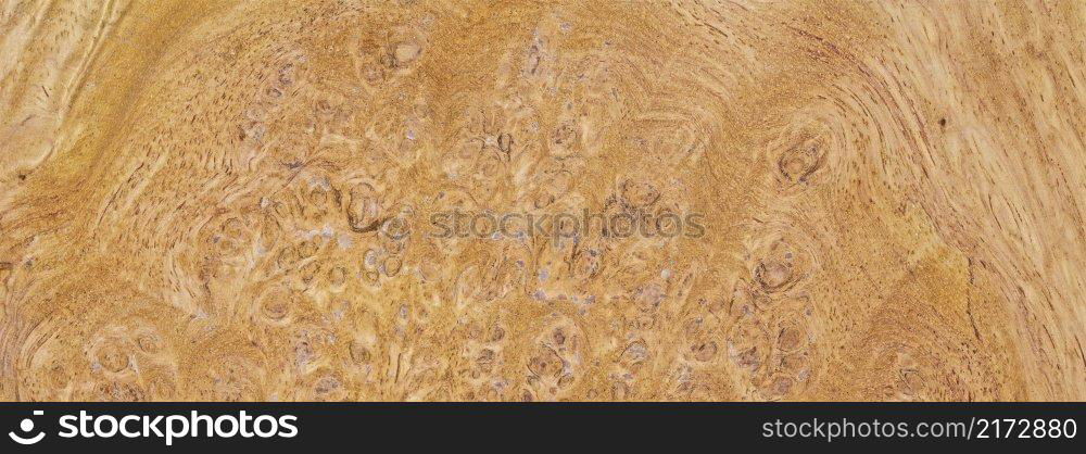 natural burl wood grain texture for banner background