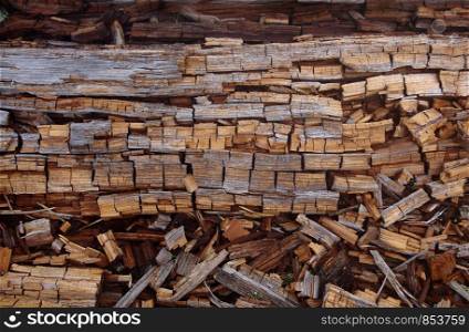 Natural close-up background with collapsing trunks of fallen trees