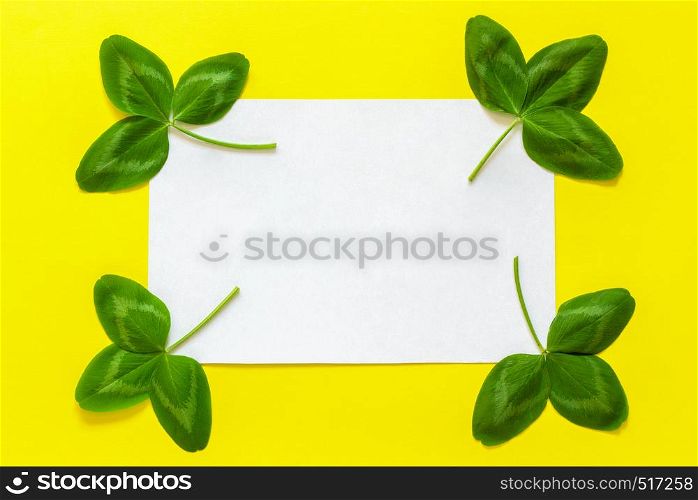 Natural clover leaf and white empty card for text on yellow background. St.Patrick 's Day concept. Top view. Mockup template. clover leaf and white empty card