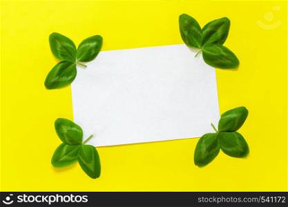 Natural clover leaf and white empty card for text on yellow background. St.Patrick 's Day concept. Top view. Mockup template.. Natural clover leaf and white empty card for text on yellow background. St.Patrick 's Day concept. Top view. Mockup template