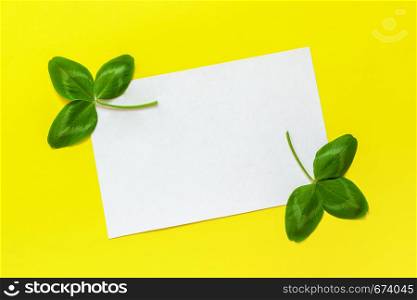 Natural clover leaf and white empty card for text on yellow background. St.Patrick 's Day concept. Top view. Mockup template.. Natural clover leaf and white empty card for text on yellow background. St.Patrick 's Day concept. Top view. Mockup template
