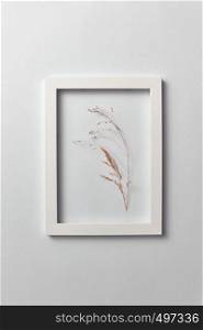 Natural eco frame with dry plant branch on a light gray background. Place for text. Top view. Organic postcard.. Decorative composition of seedhead plant in a rectangular frame on a light background.