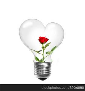 Natural energy concept. Light bulb in shape of heart with red rose inside isolated on white