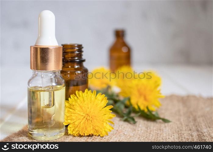 Natural essential oil in a glass bottle with fresh dandelion flowers on the table. Flower essential oil. Phytotherapy.. Natural essential oil in a glass bottle with fresh dandelion flowers on the table. Flower essential oil.