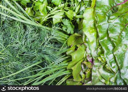 natural food background - assortment of wet fresh greenery close-up (beet tops, scallions, dill, parsley)
