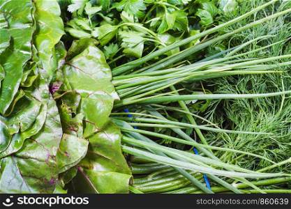natural food background - various wet fresh greenery close-up (bundles of beet greens, scallions, dill, parsley)