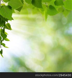 Natural freshness. Abstract environmental backgrounds for your design