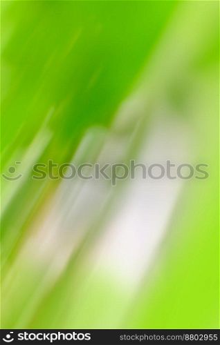 Natural grass and leaves spring bokeh illuminated background. Alpine meadow spring time bokeh nature view.. Spring nature bokeh background concept. Abstract spring background