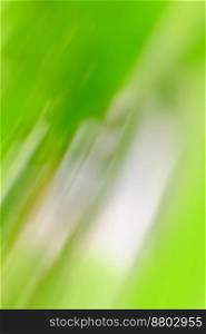 Natural grass and leaves spring bokeh illuminated background. Alpine meadow spring time bokeh nature view.. Spring nature bokeh background concept. Abstract spring background
