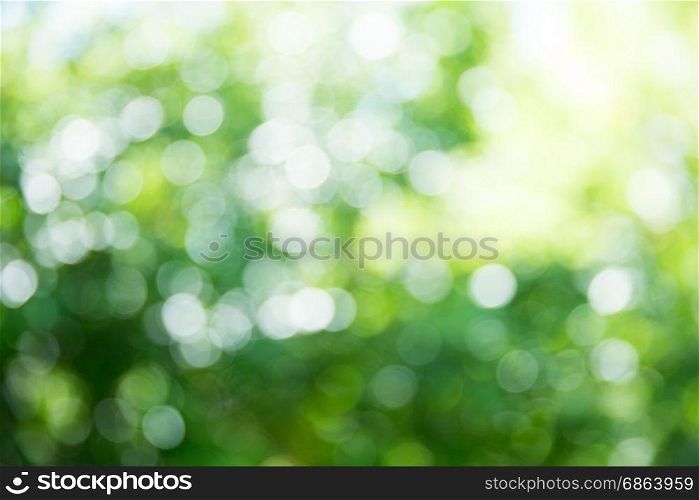 Natural green a blurred background