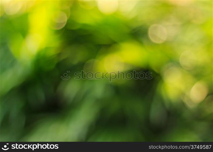 Natural green bokeh abstract light background.